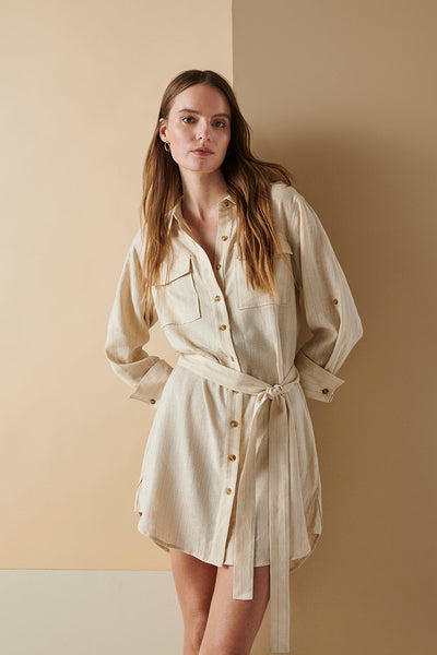 Sanctuary Pocket Shirt Dress in Vineyard Stripe