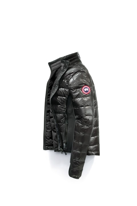 Shiny black 2025 canada goose