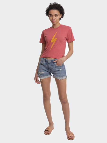 FRAME Le Grand Garcon Short in Montgrove Rips