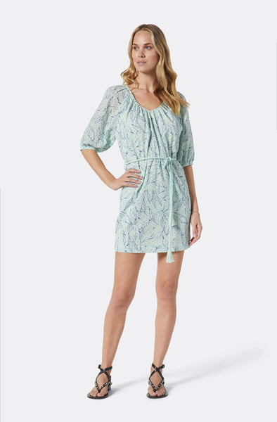 Joie Tillman short sleeve print dress in bay/clematis blue