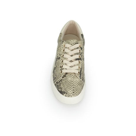 Sam Edelman Ethyl Lace Up Sneaker in Pacific Snake