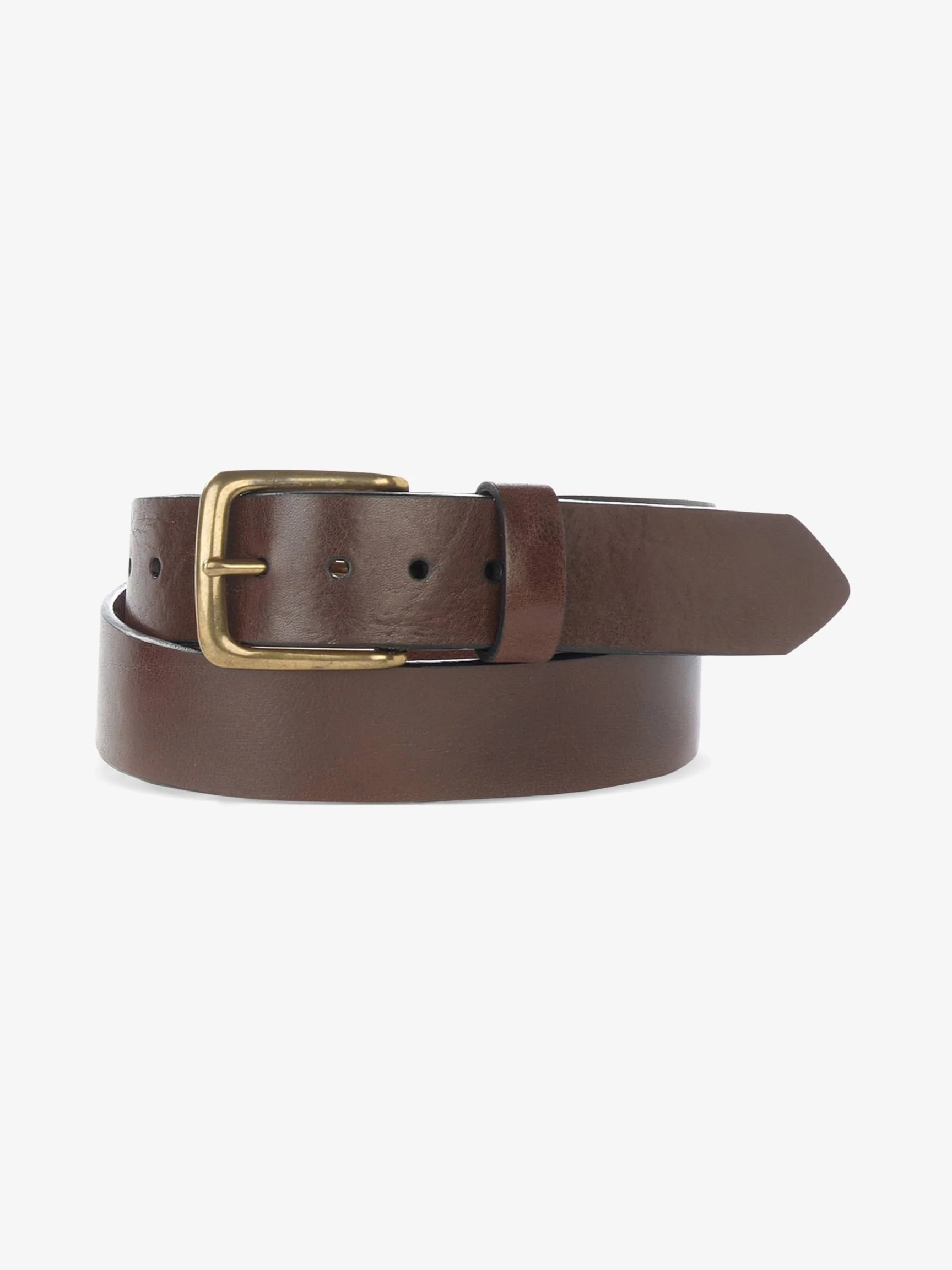 Brave Duccio belt in brown with antique gold buckle