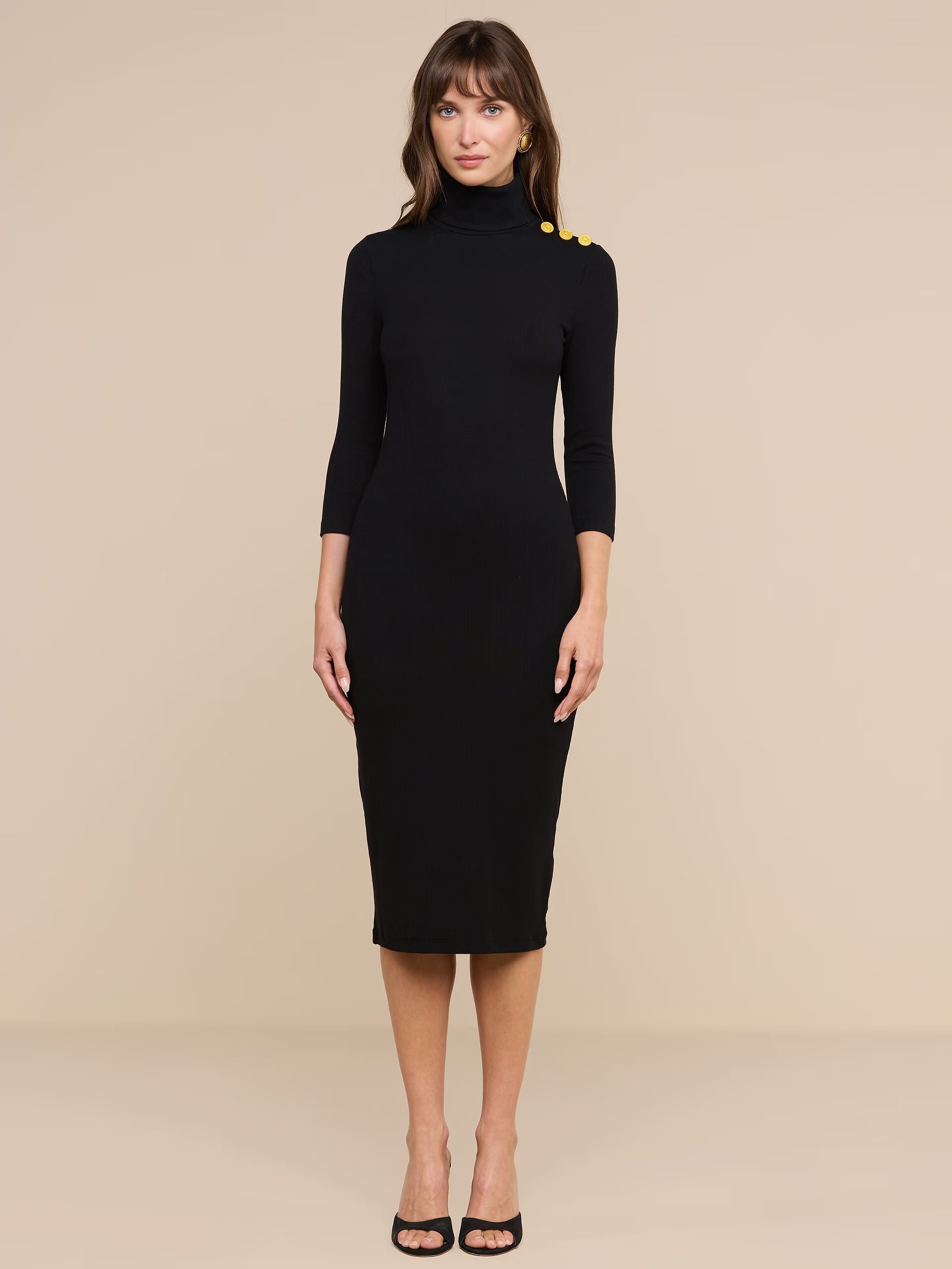 L'AGENCE Voletta 3/4 Sleeve Turtleneck Knit Dress in Black