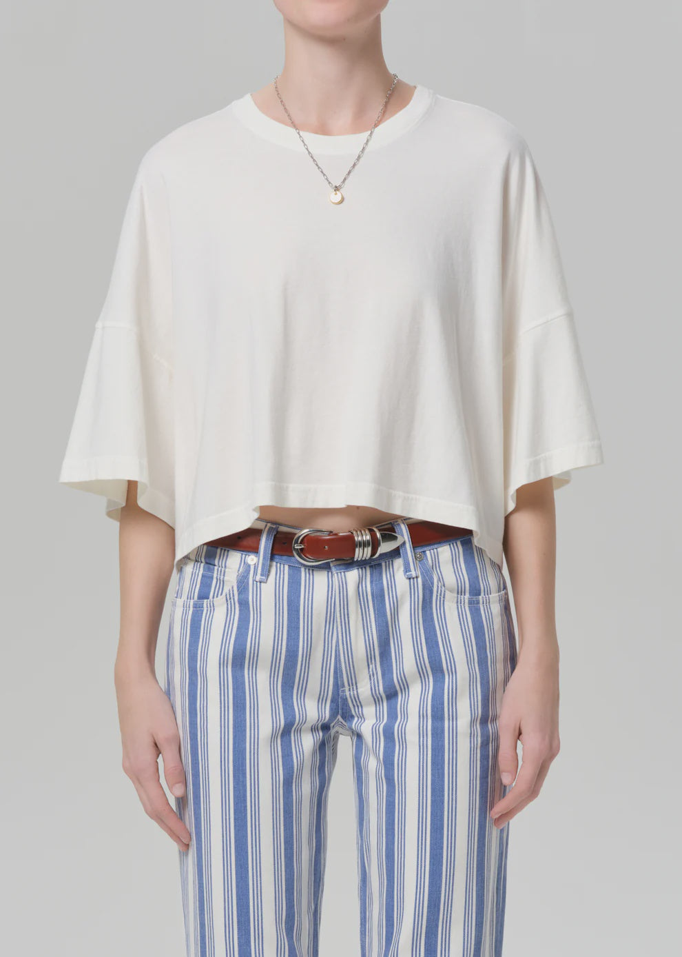 Citizens of Humanity Crop Cape Tee in Pashmina