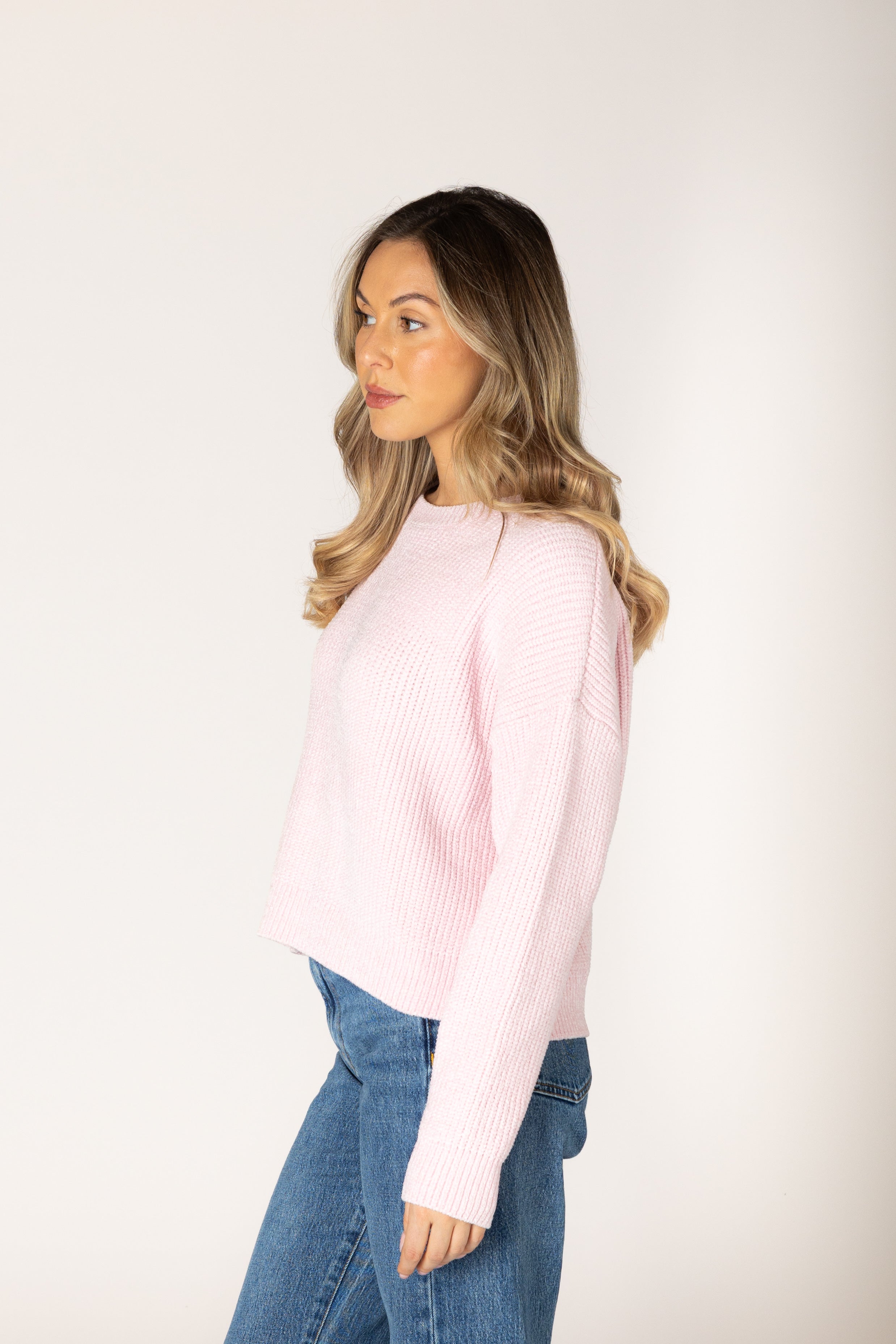 Lyla & Luxe Bobby Chenille Crew Rib Sweater in Rosita