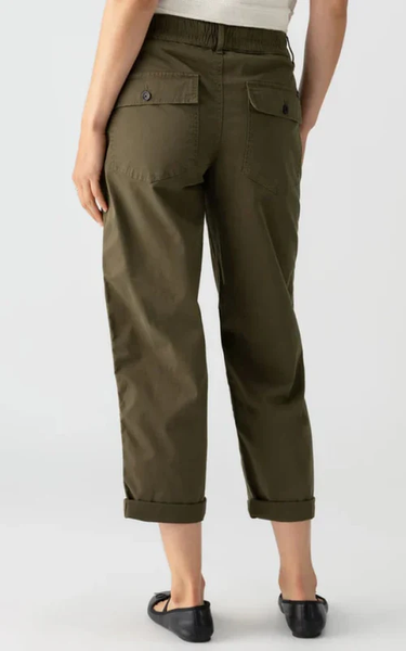 Sanctuary Cruiser Chino Pant in Dark Spruce