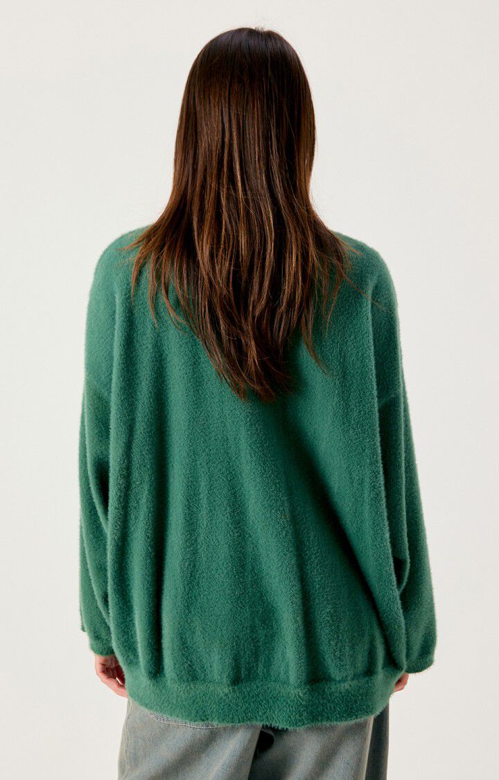 American Vintage Sapowood Crewneck Sweater in Spinach