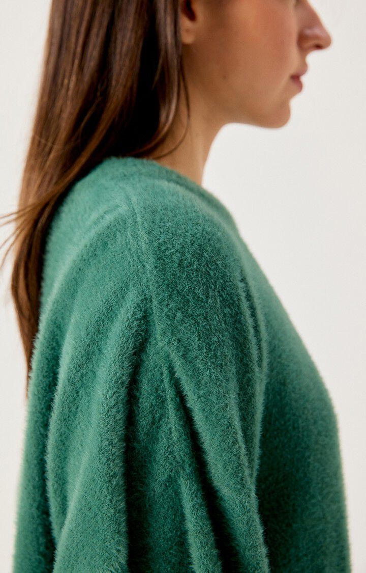 American Vintage Sapowood Crewneck Sweater in Spinach