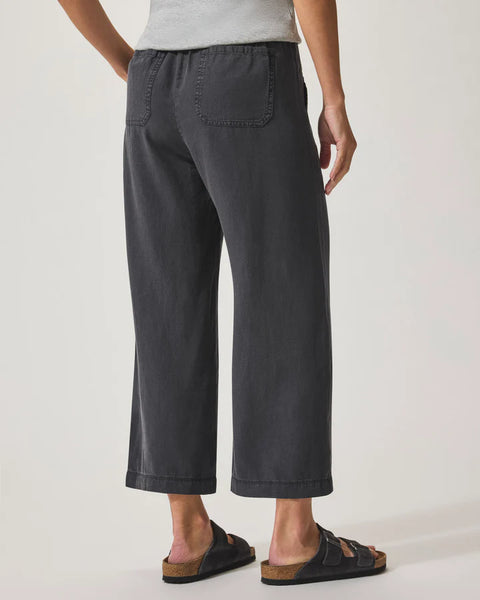 Splendid Angie Lyocell Linen Crop Wide Leg in Lead