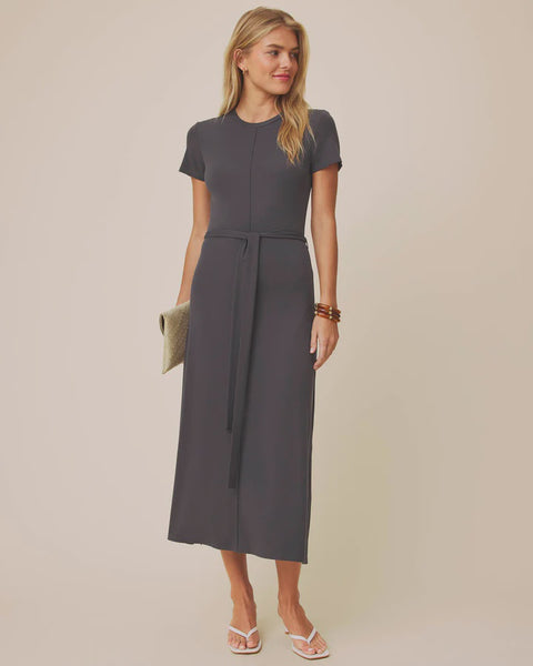 Splendid Clementine Dress in Lead