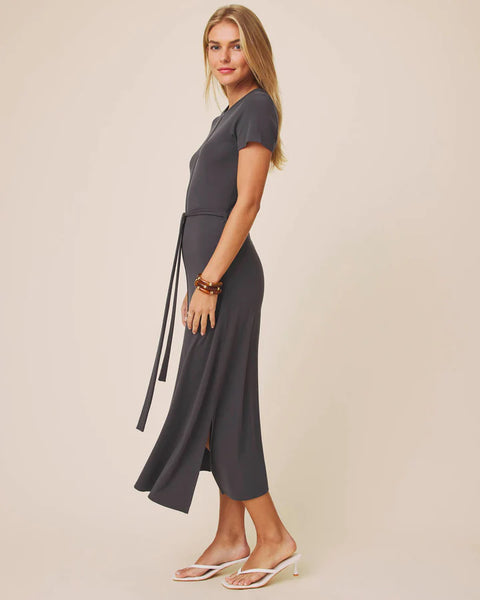 Splendid Clementine Dress in Lead