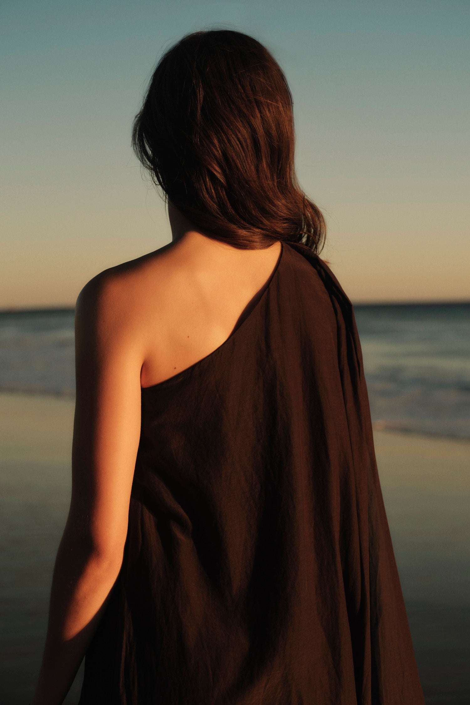 Velvet Diana Silk Cotton Voile Dress in Black