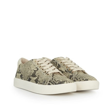 Sam Edelman Ethyl Lace Up Sneaker in Pacific Snake