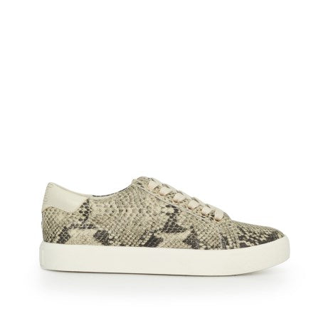 Sam Edelman Ethyl Lace Up Sneaker in Pacific Snake